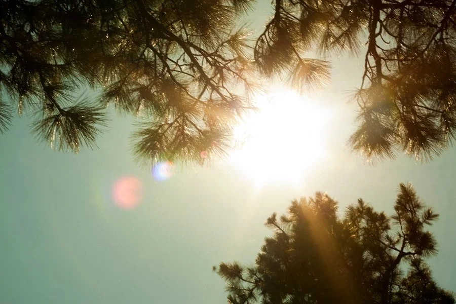 And The Living Was Easy