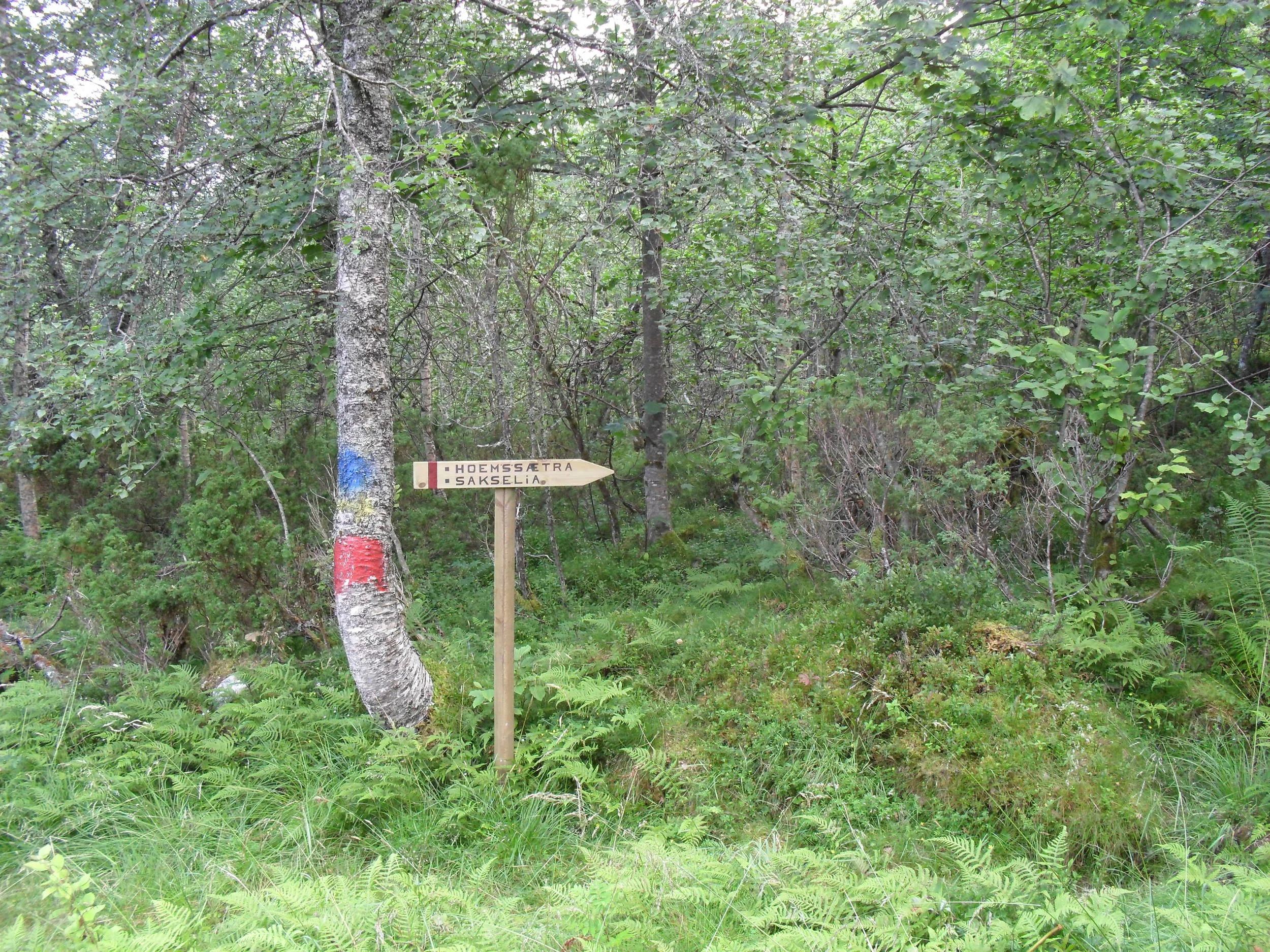 Fagervik Camping_ Copyright 2015_118.jpg