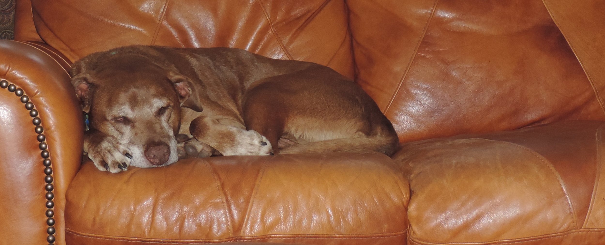 Trying out a different couch. 