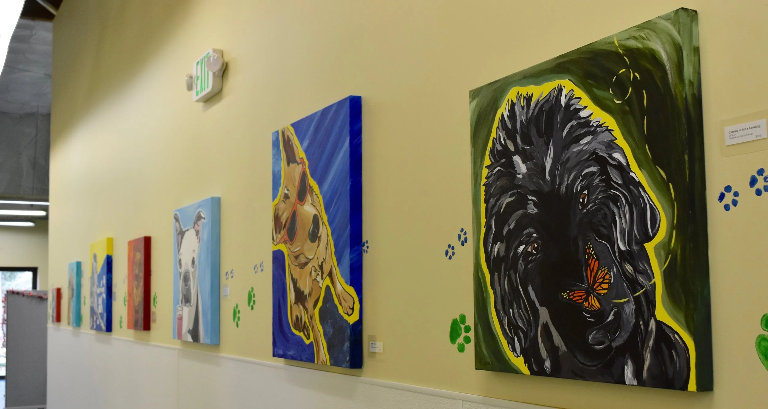Fresh and colorful paintings line the wall at Homeward Pet, a no-kill shelter in Woodinville, Washington.
