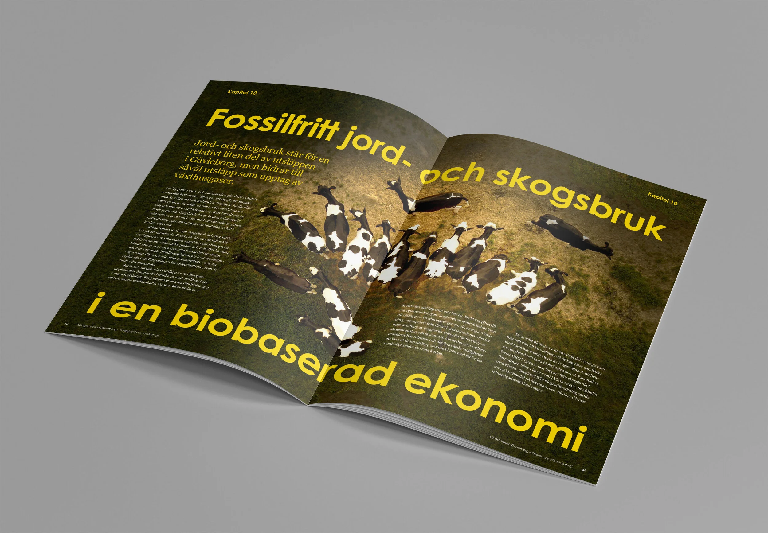 Mockup_A4_Brochure_9.jpg