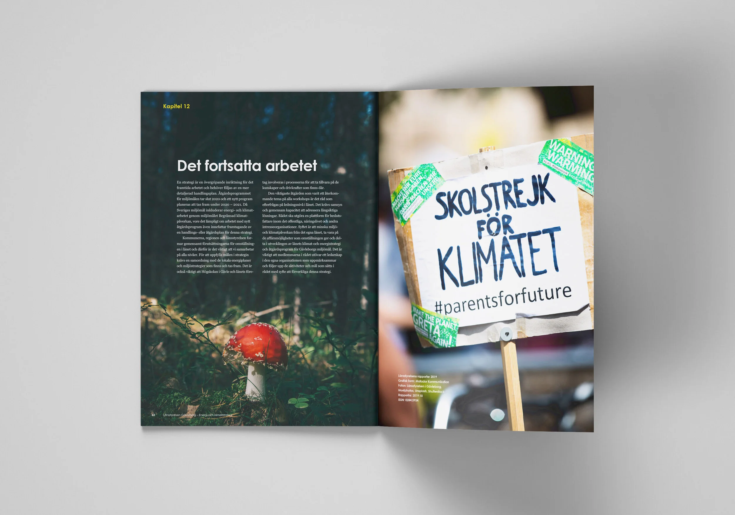 A4_Brochure_Mockup_bak.jpg
