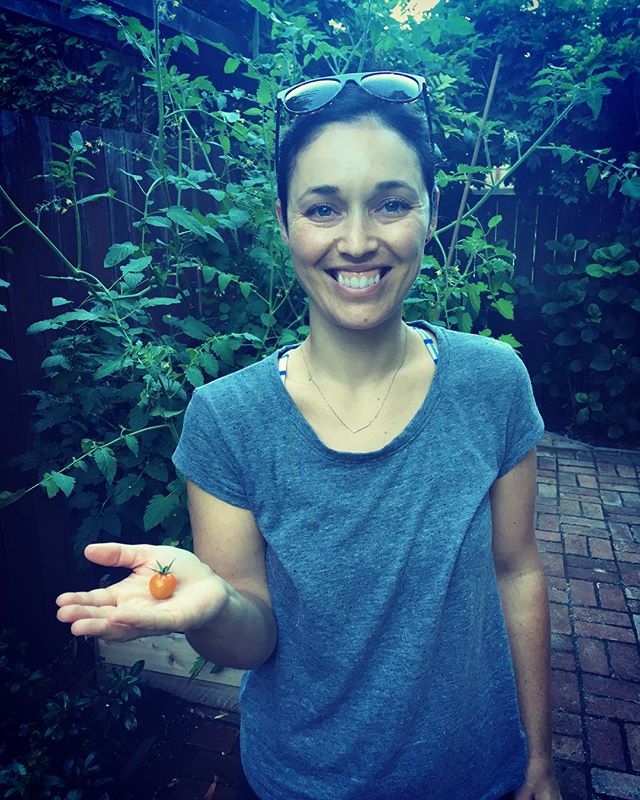 I&rsquo;d like to thank: our landlord for the planting space and negative comments, my mom for the pruning advice and my husband for the late night watering. It takes a village. #tomatoseason2018 #knowyourfarmer #blessed🙏