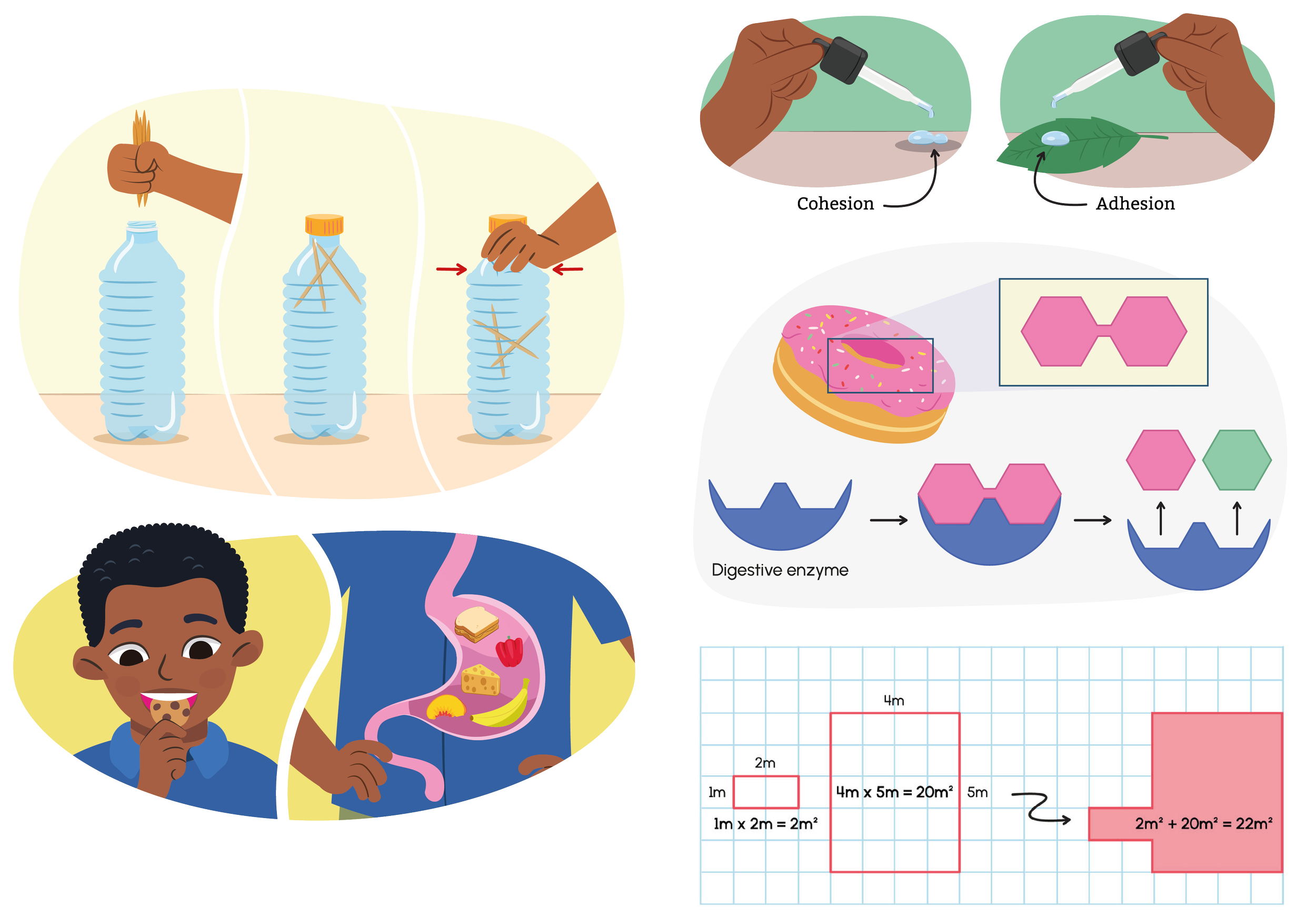 tvo-portfolio-02.png