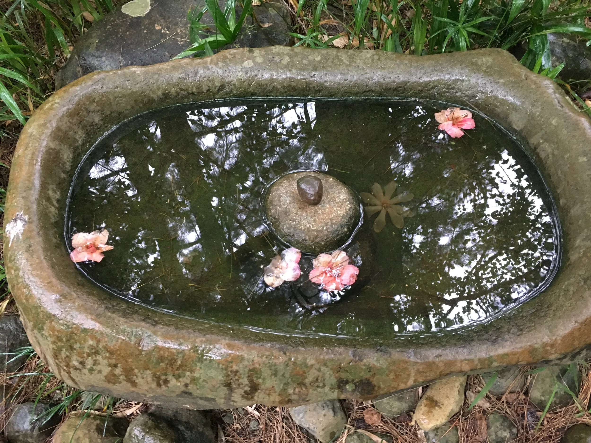 Divining is like staring into a clear bowl of water ...