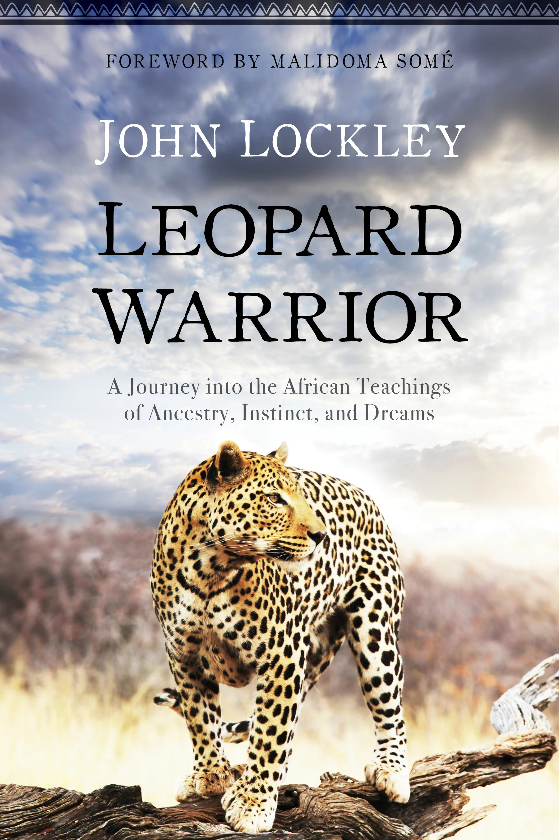BK05051-Leopard-Warrior-Published-Cover.jpg