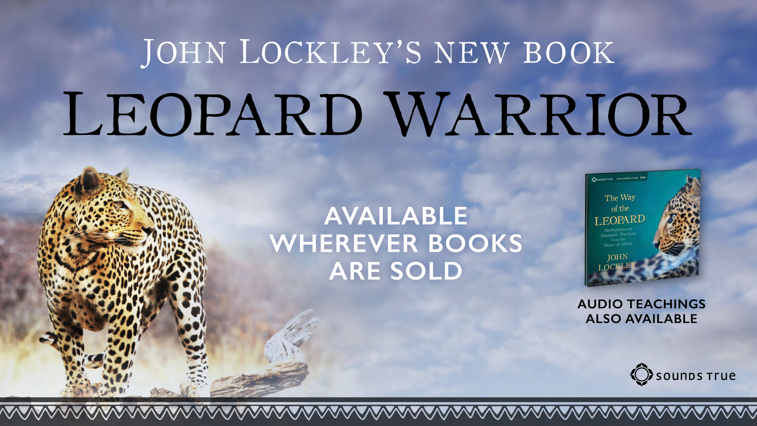 FB Book banner.png