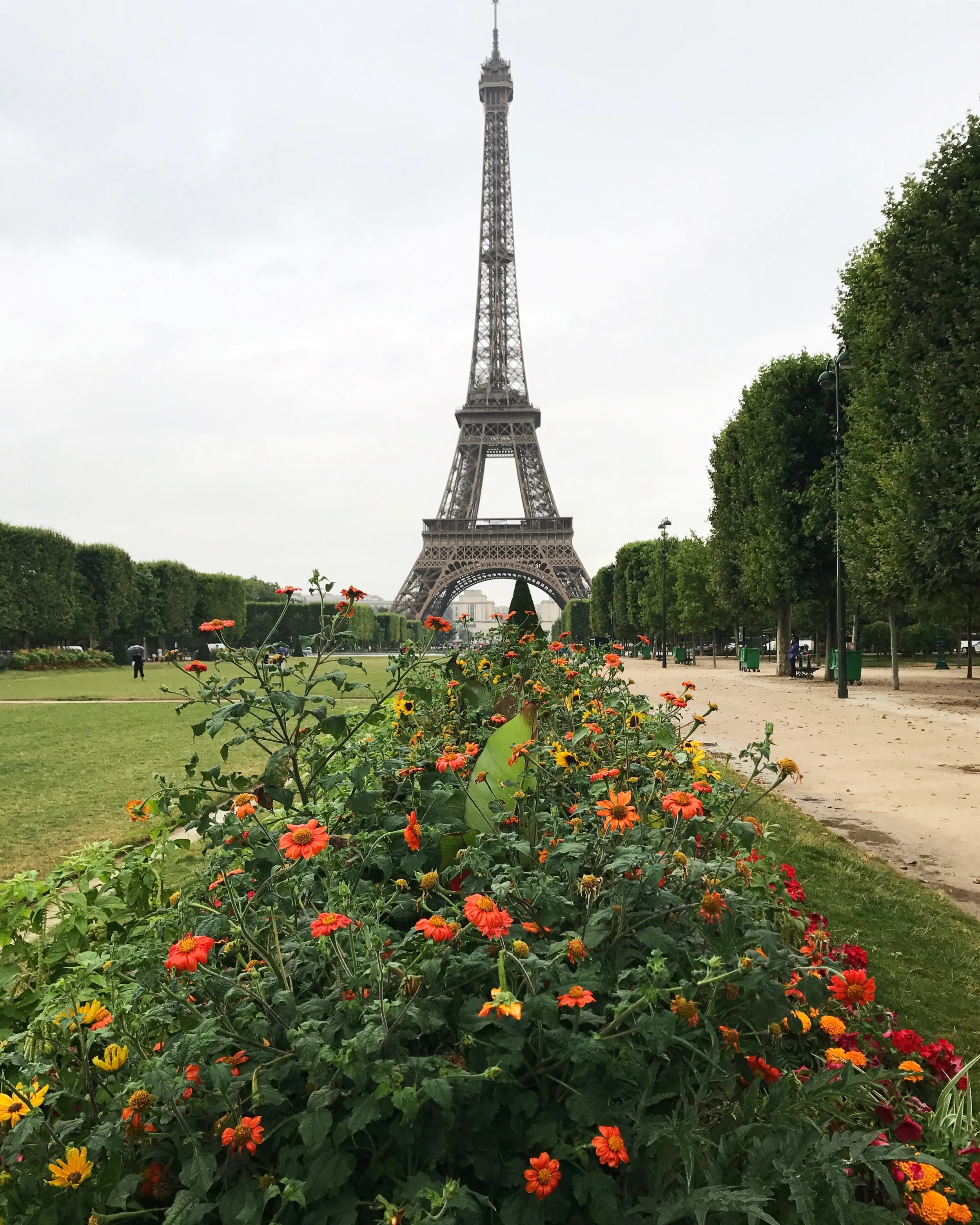 Paris: The Basics