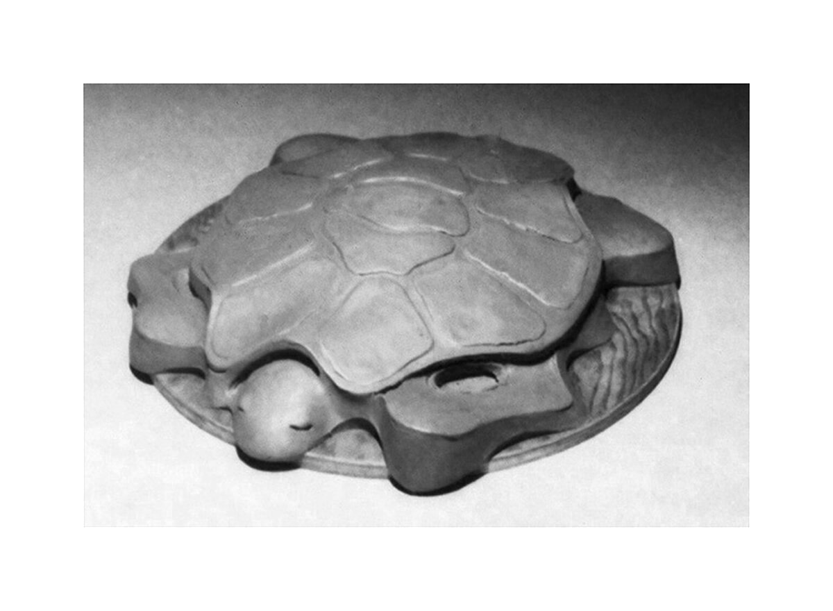 Stepping Stone - Tortoise (paired with Hare)