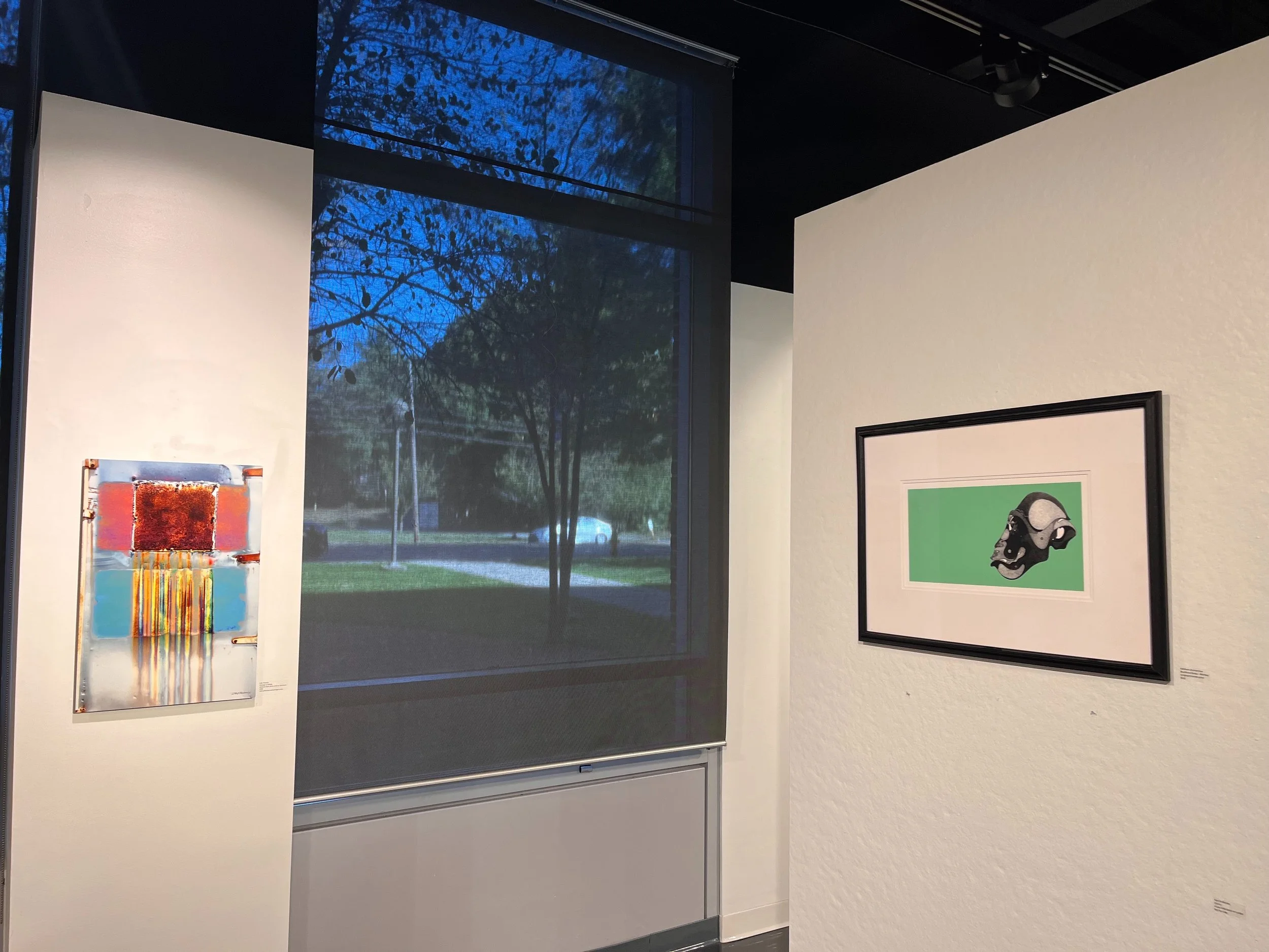 Mary Cosgrove Dolphin Gallery | Juried