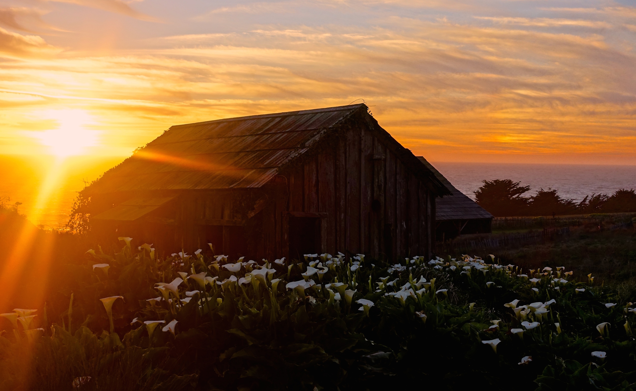 Escape to the Sonoma Coast