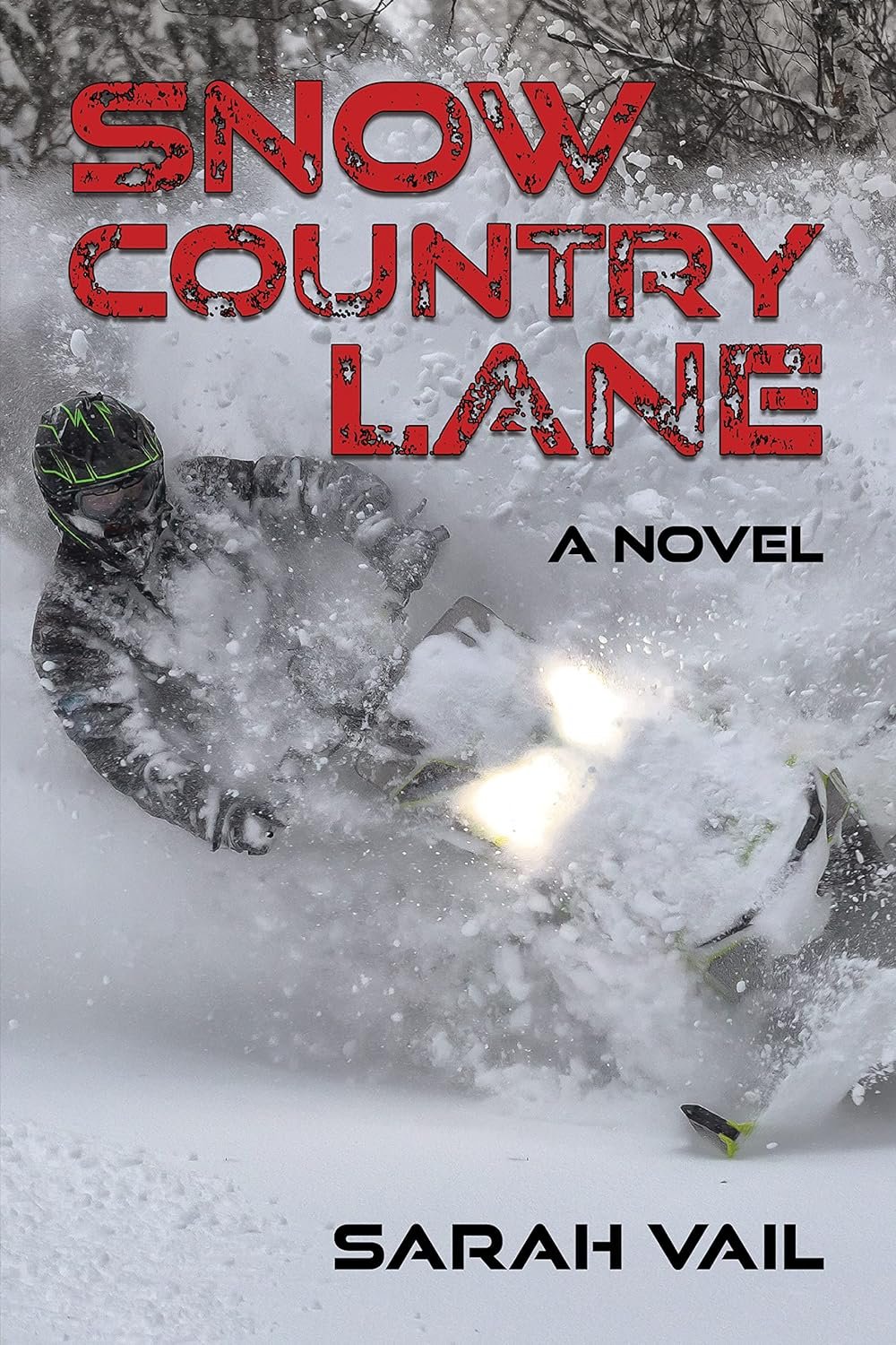Snow Country Lane - Sarah Vail.jpg