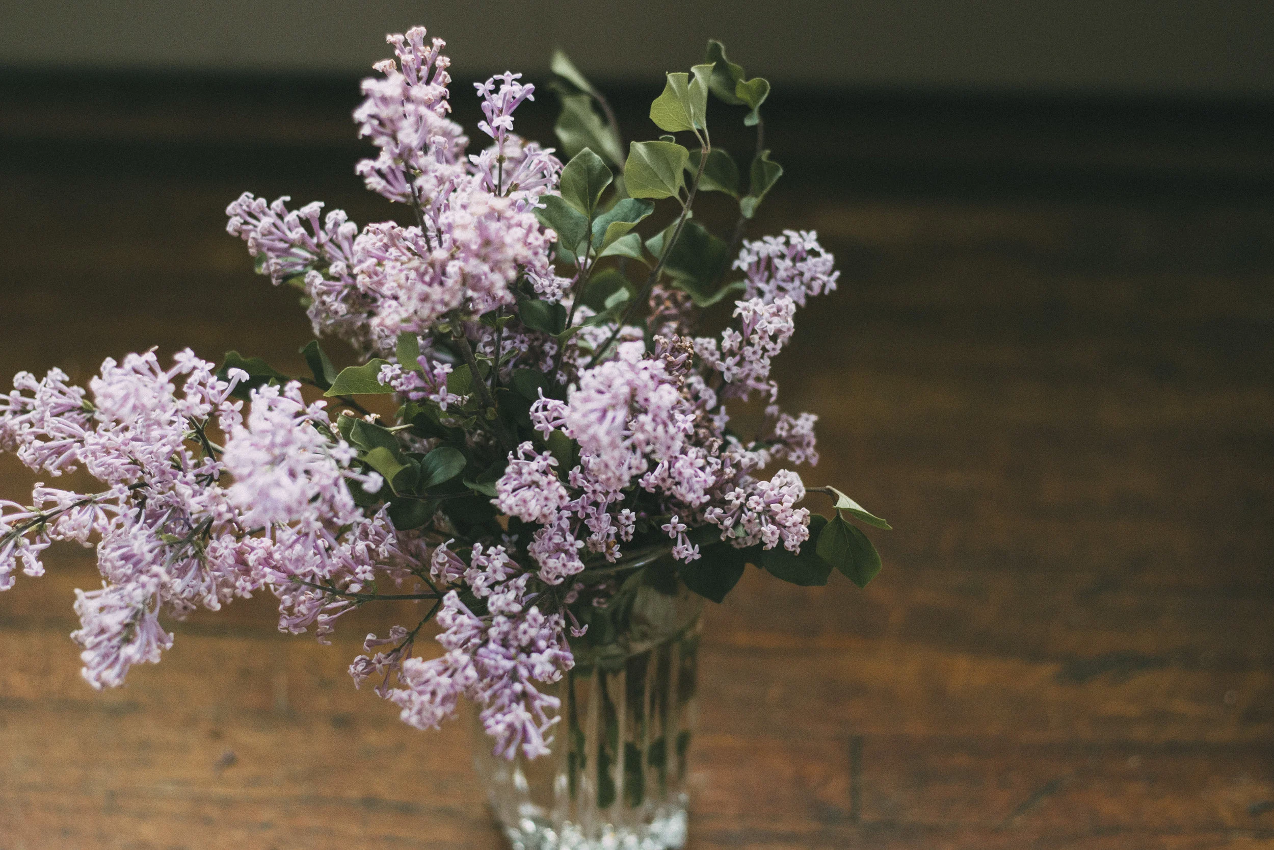 Lilacs_05282018_14.jpg