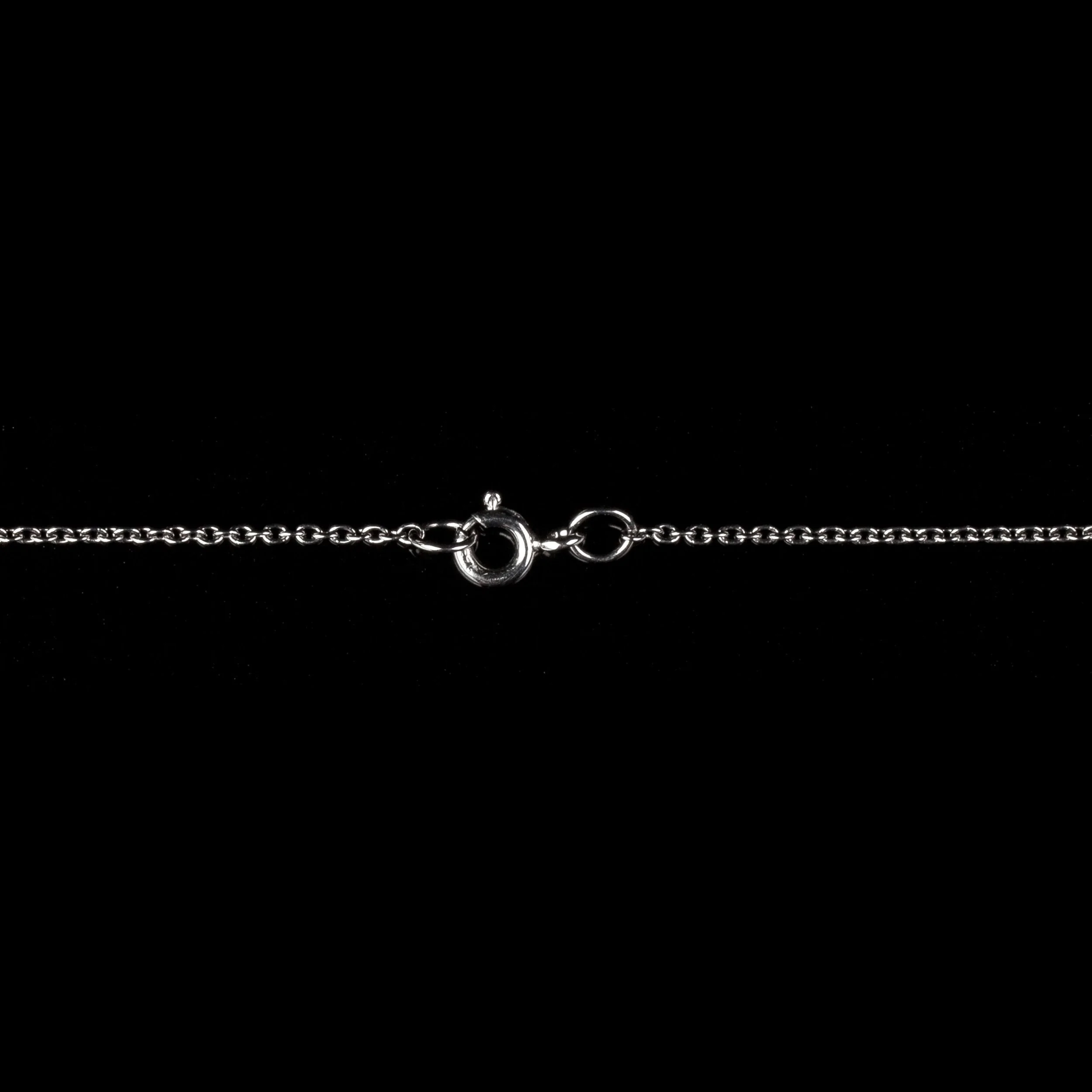 clasp_silver_chain.jpg