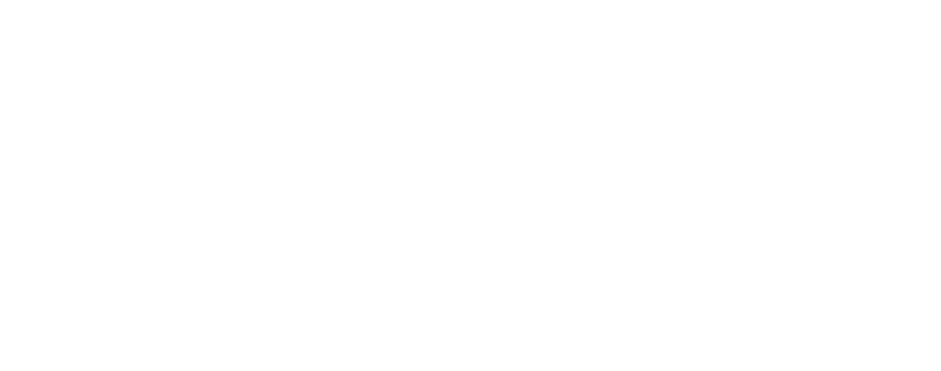 PabstSteinmetzFoundation-logo-WHITE.png