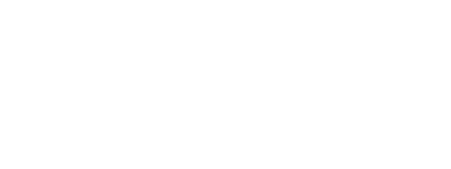 msg-logo-WHITE.png