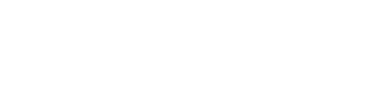 Opera Orlando