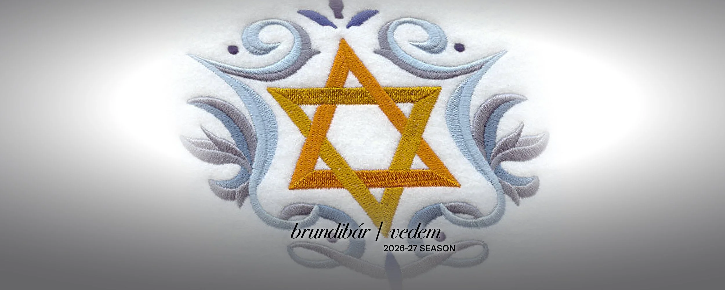BRUN-VED26_homepage image 2500X1000.jpg