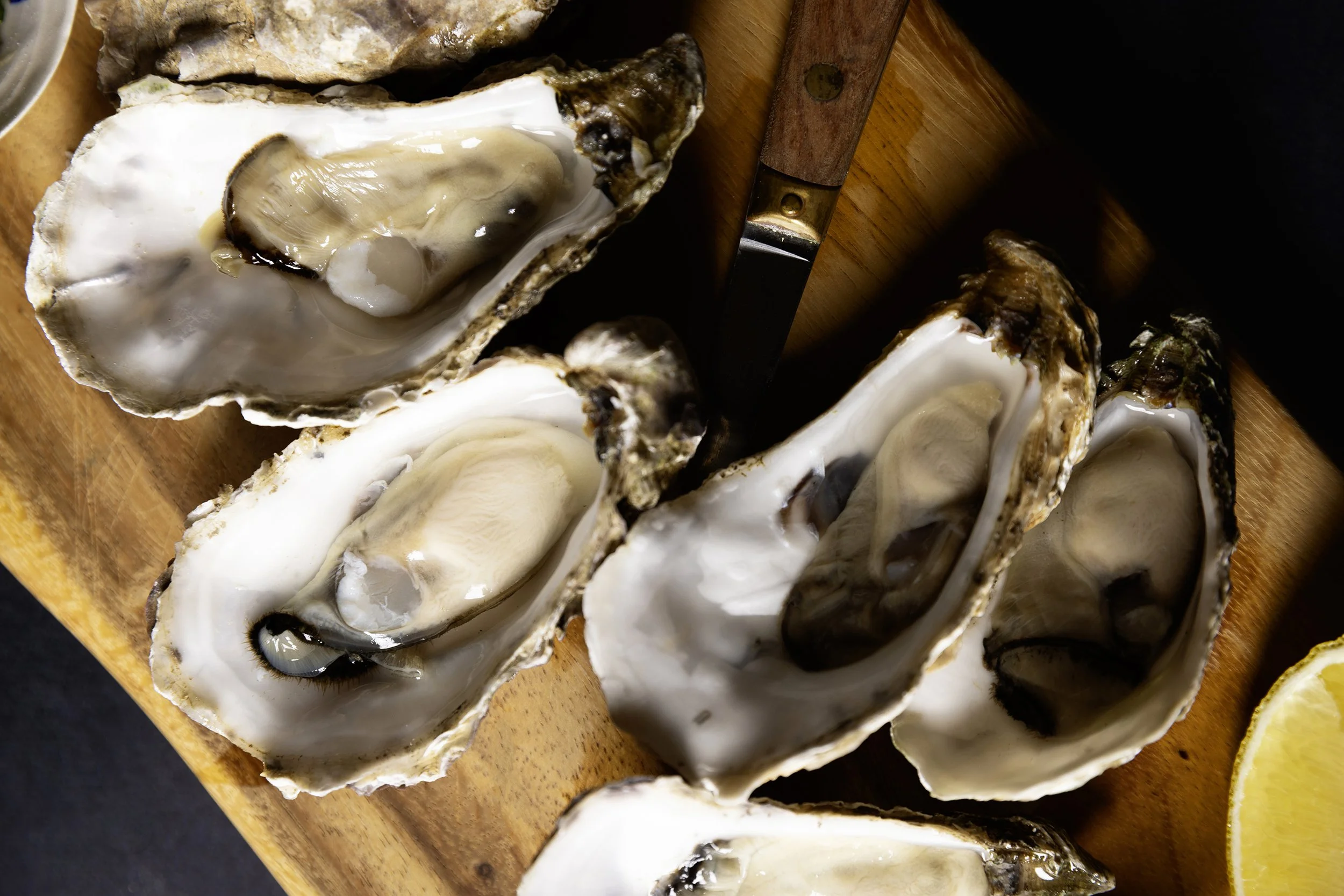 Scottish Shellfish Campaign Shoot3063 copy_1.jpg