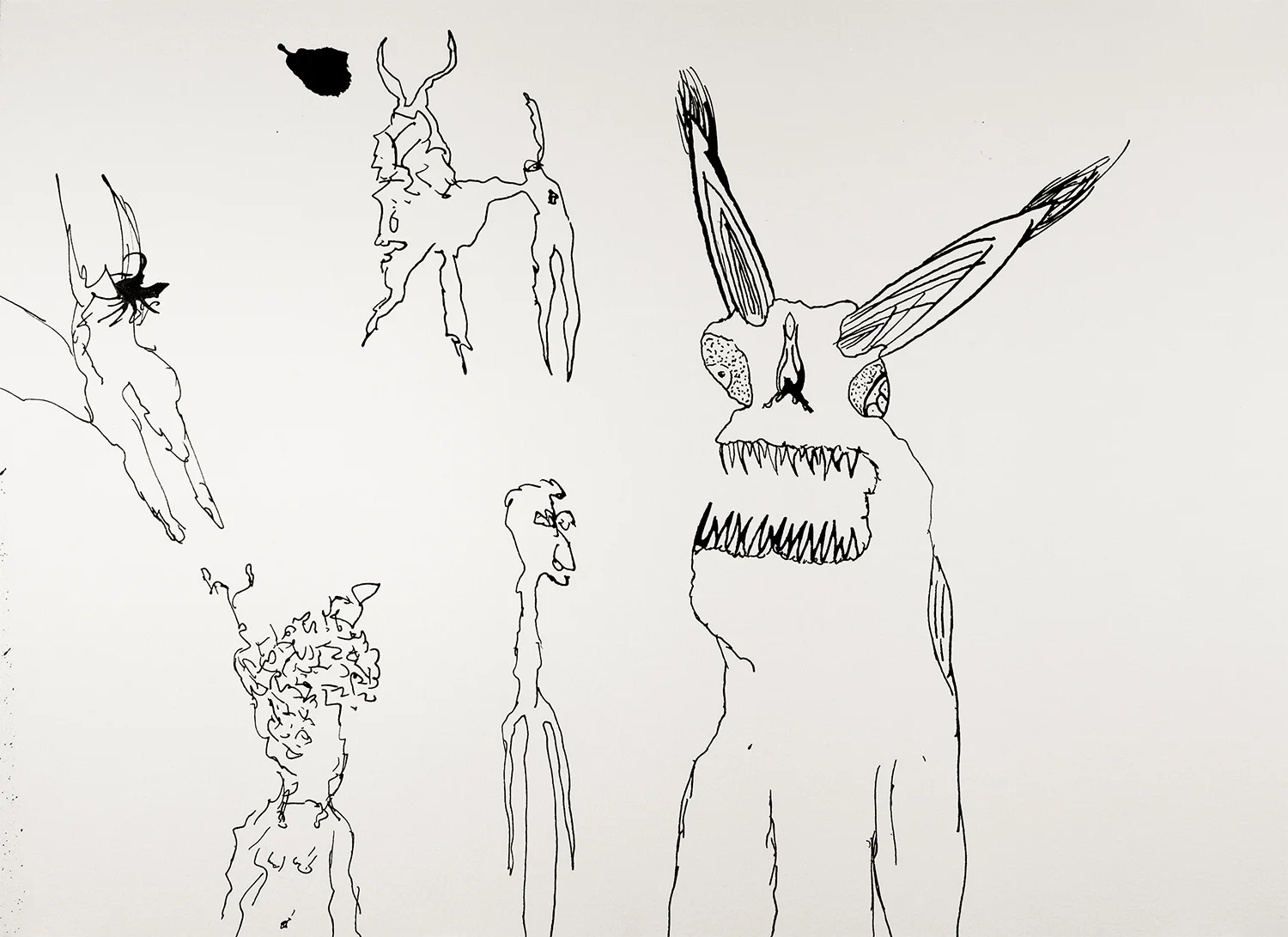 Different Creatures that Live in the City