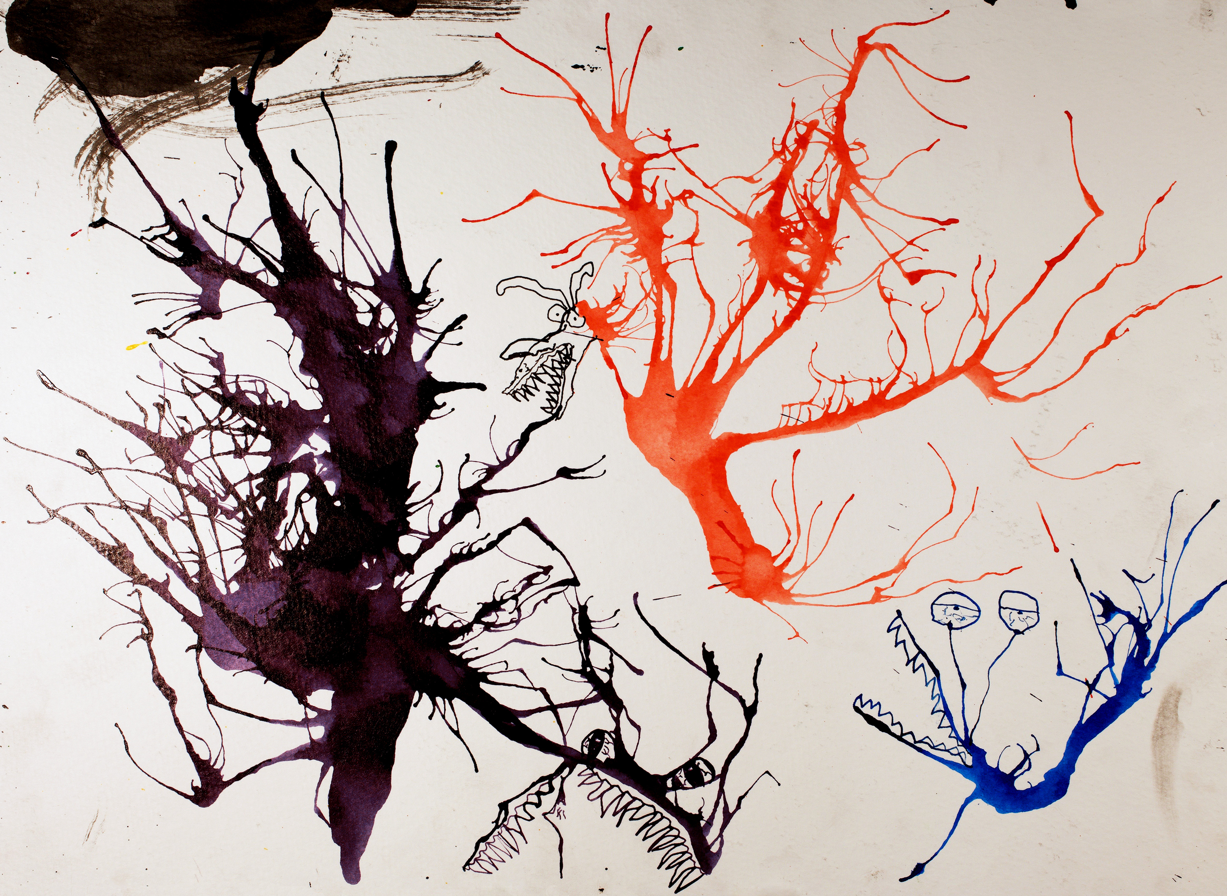 The Colored Awaken