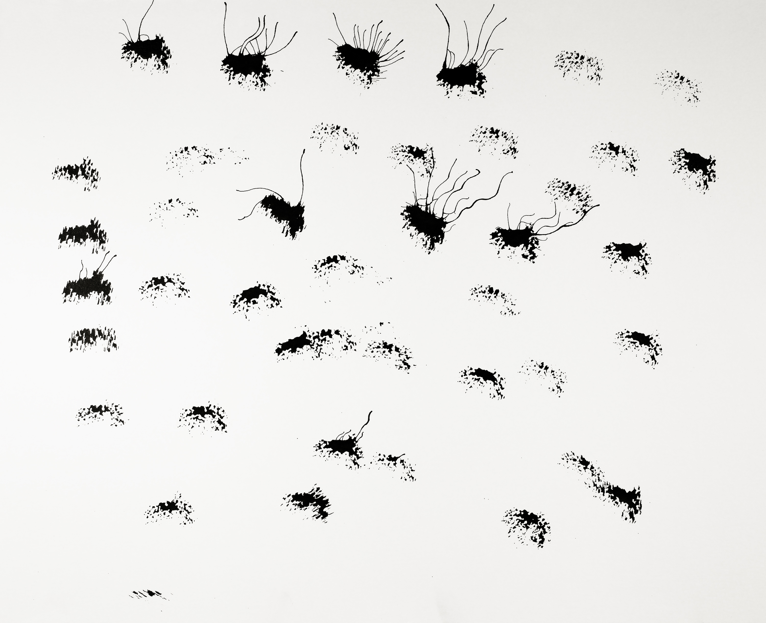 A Migration