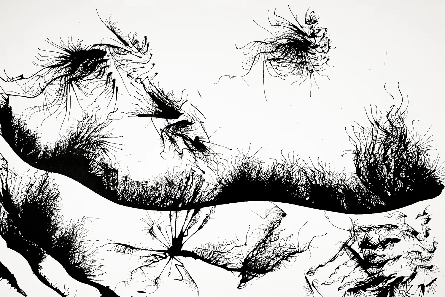 The Land of Irritum