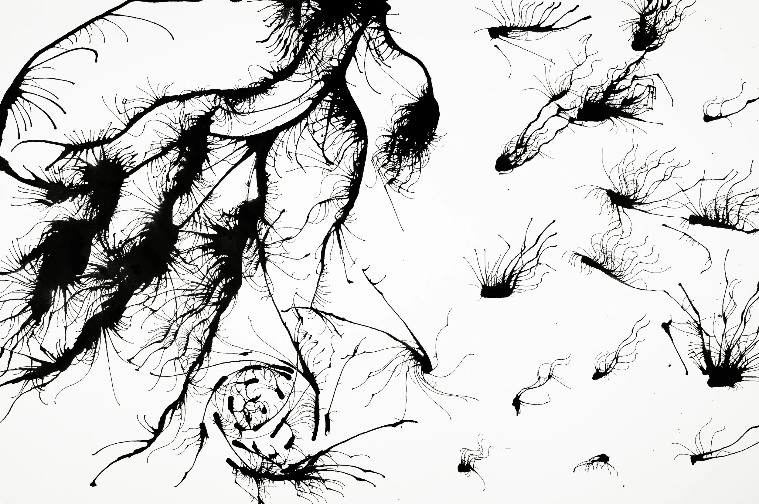 The Town with the Roots