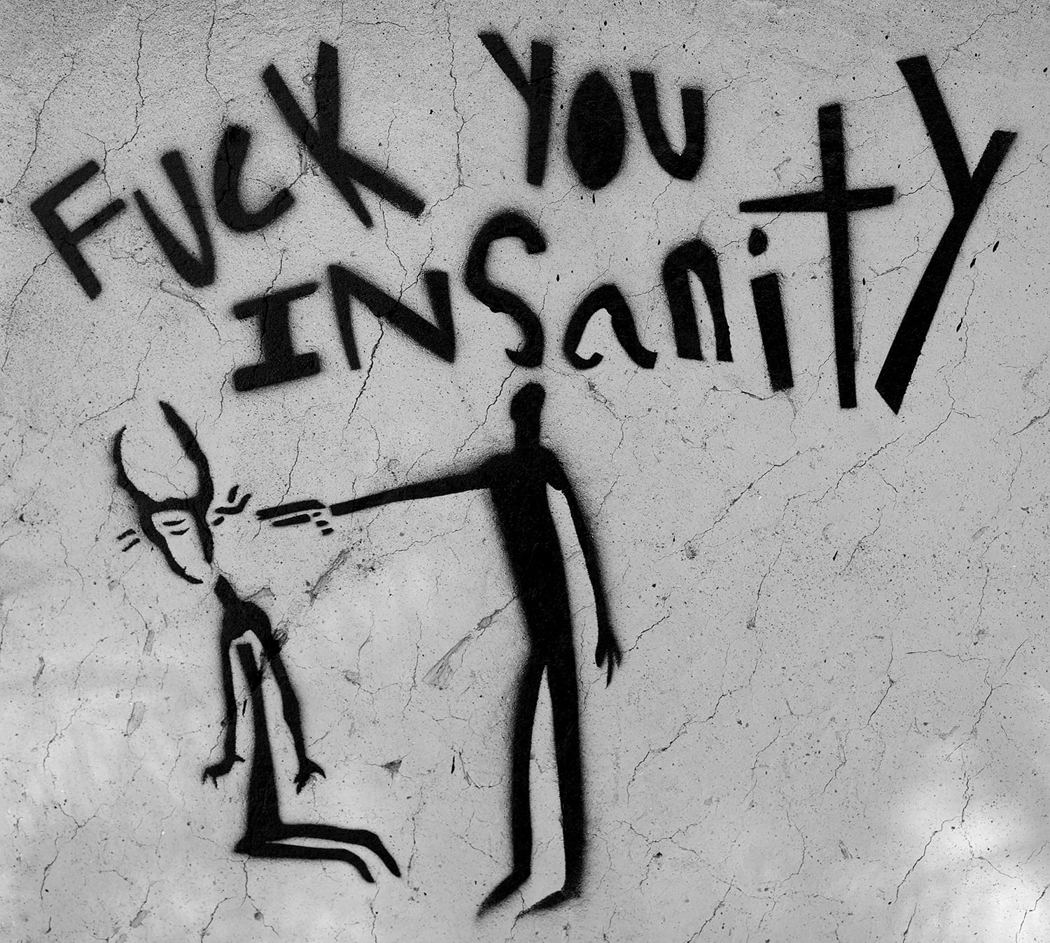 Fuck You Insanity