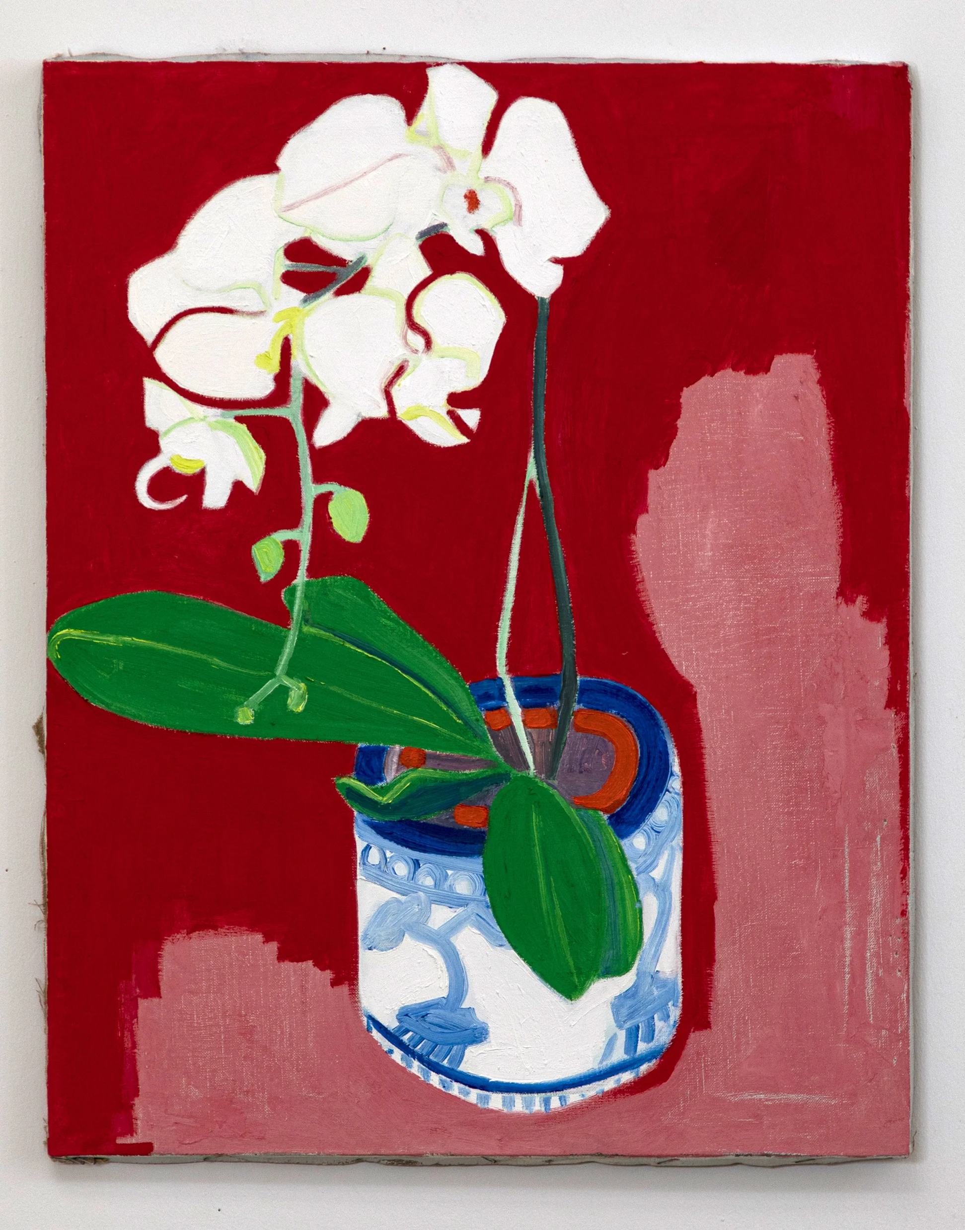 AND THE ARROWS BECAME FLOWERS: Orchid