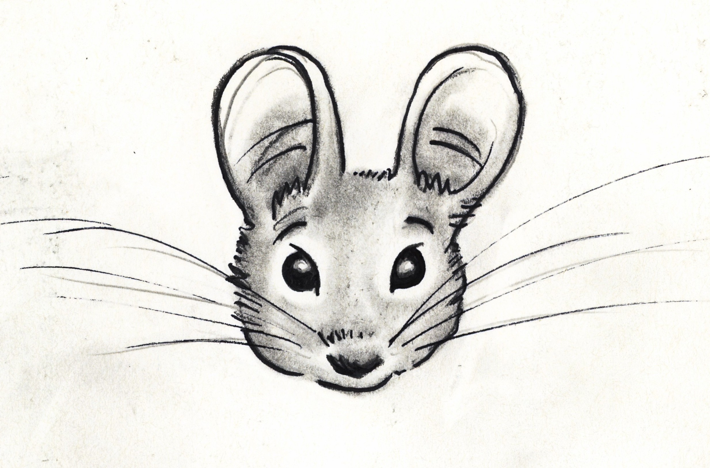 Stacy original Milly sketch head shot.JPG