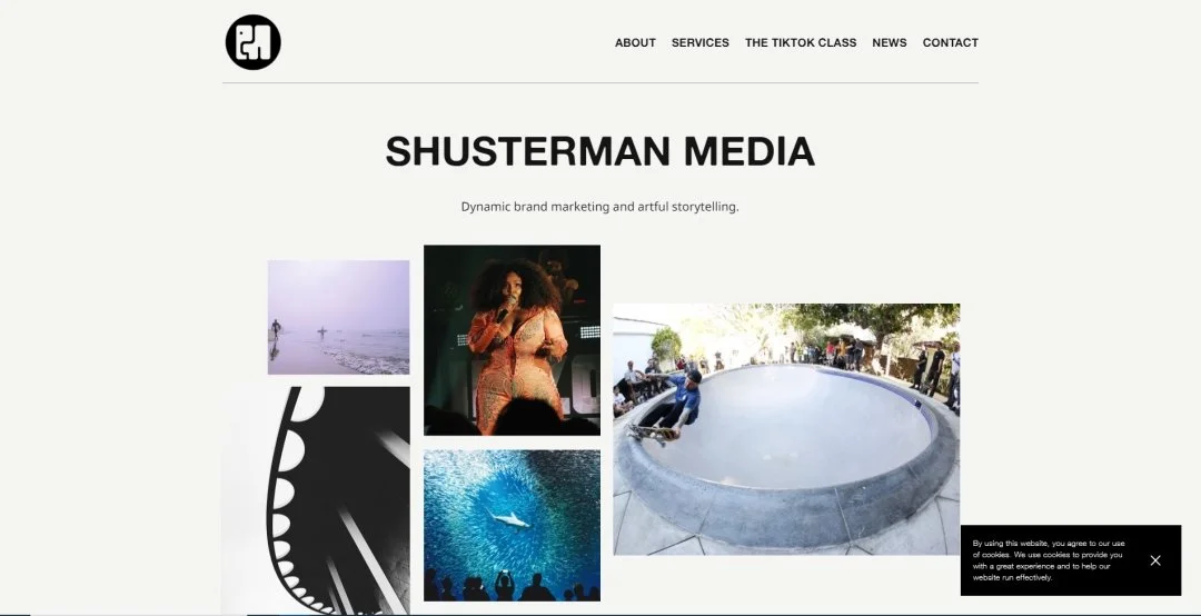 Shusterman.jpg