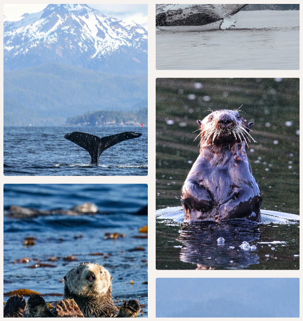 Vertical Scrolling Carousel Gallery - Classic Sections.png