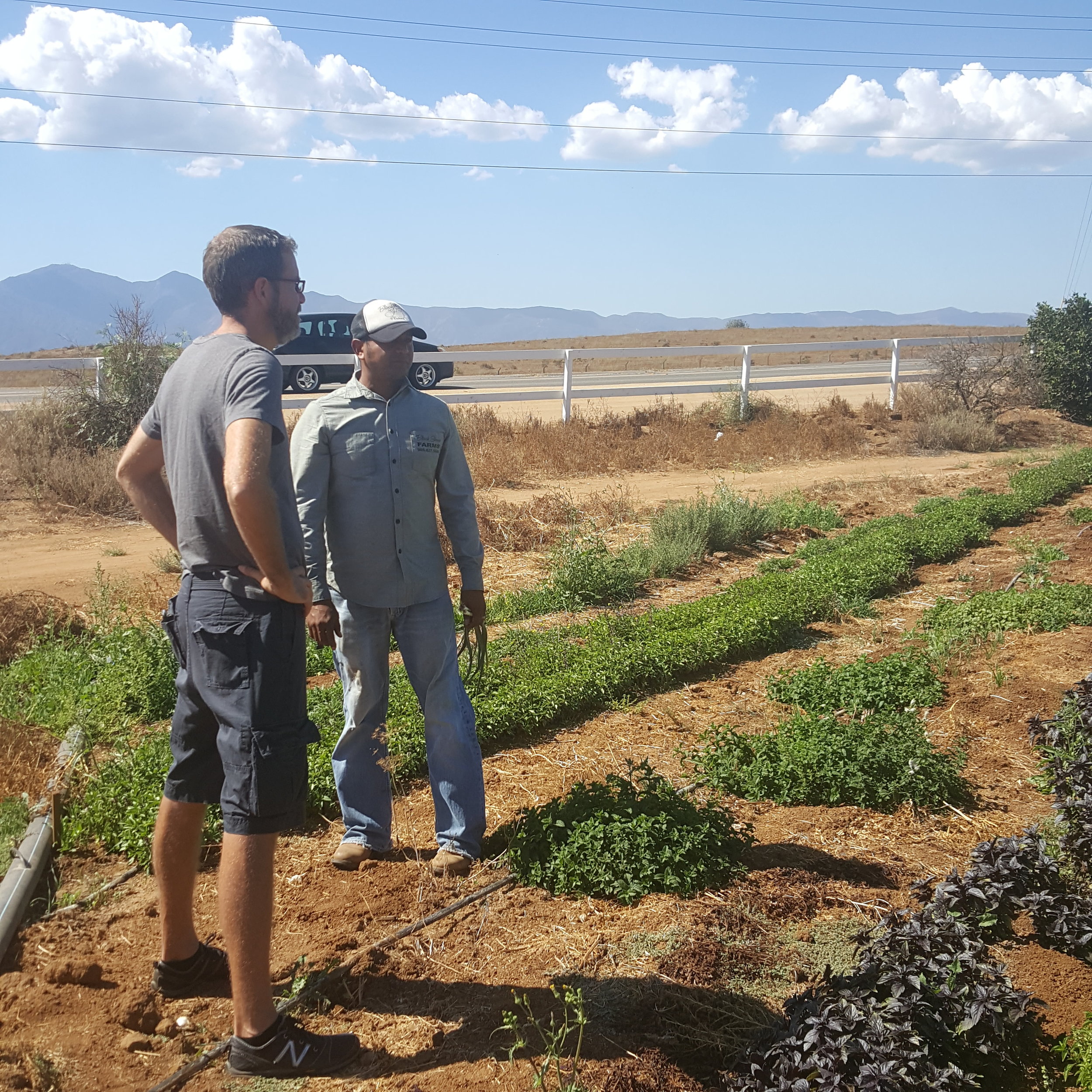 Edgar Jaime educating Farmer Mark about his production. 