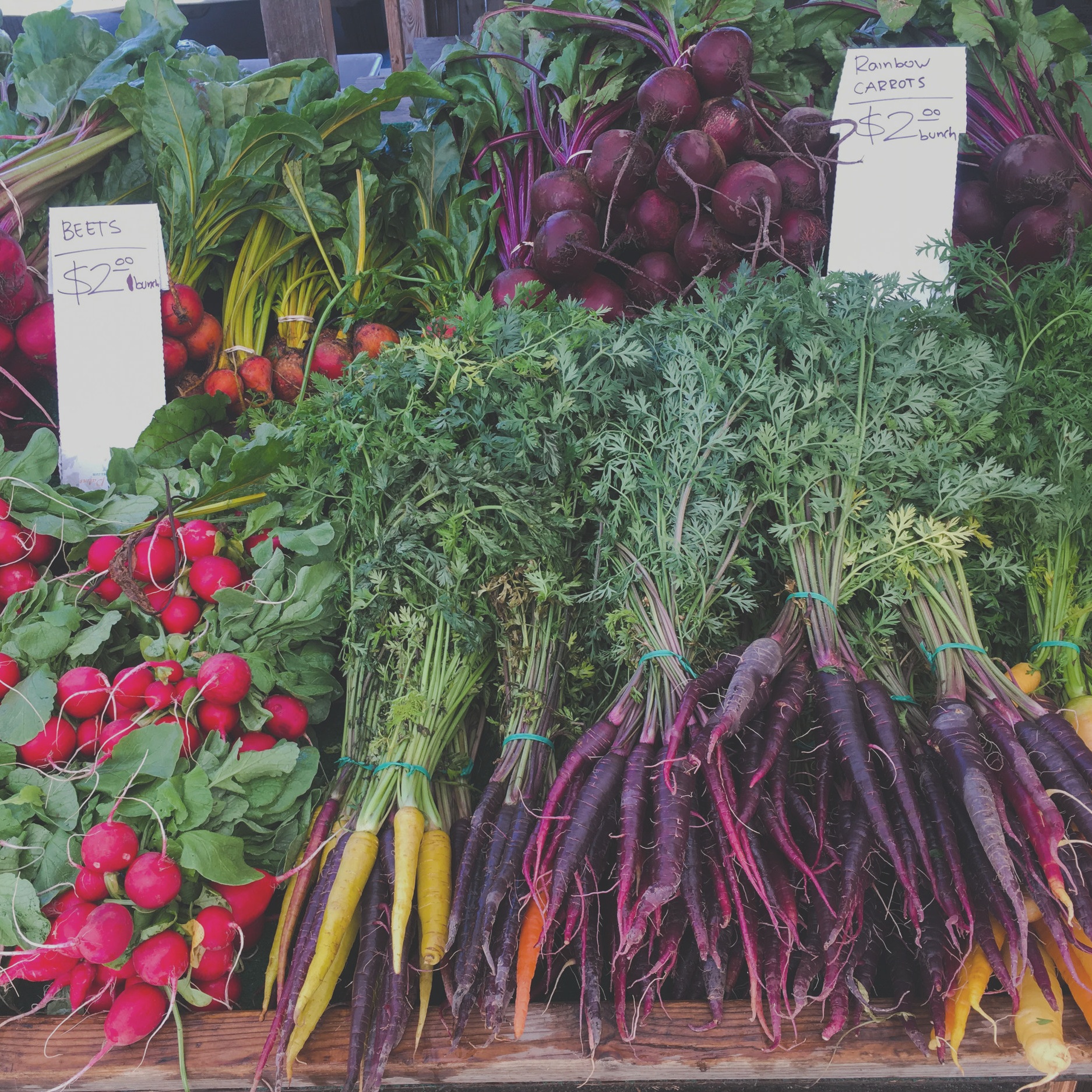 SoCo+Gaytan+Farms+Root+Vegetable+Display.jpg