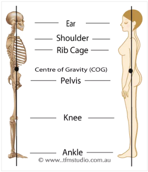 Is this a necessary posture or just aesthetically pleasing?