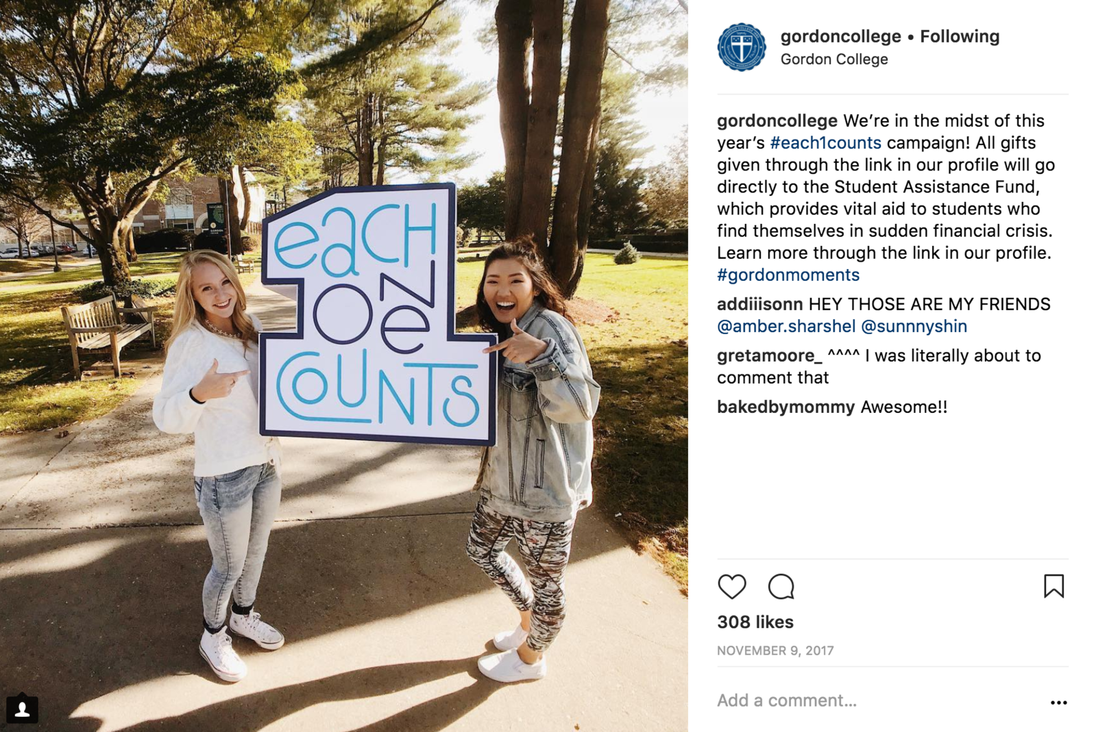 Each1Counts 2017_instagram.png