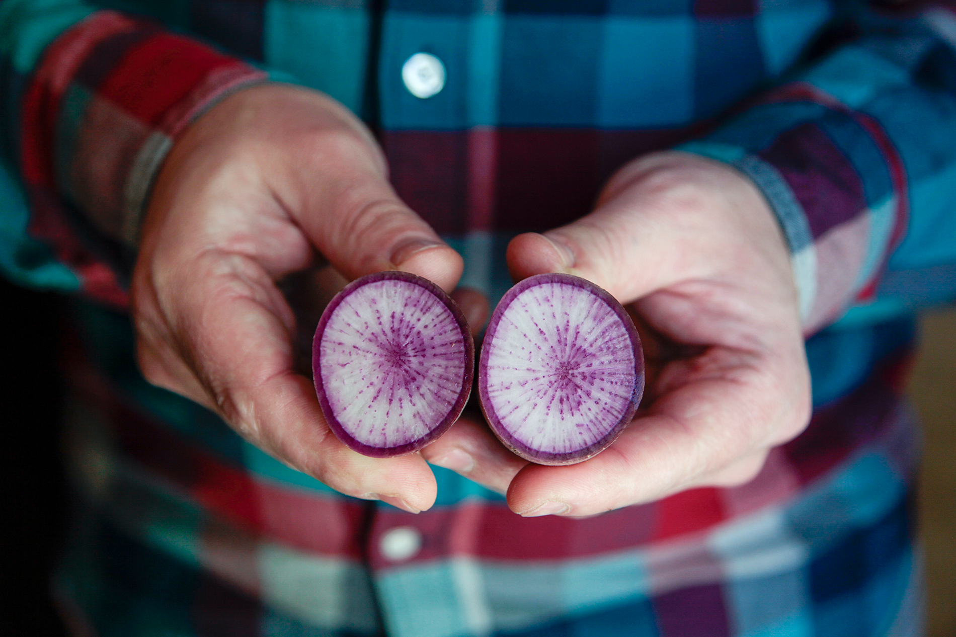 feature-shot-radish-hands.png