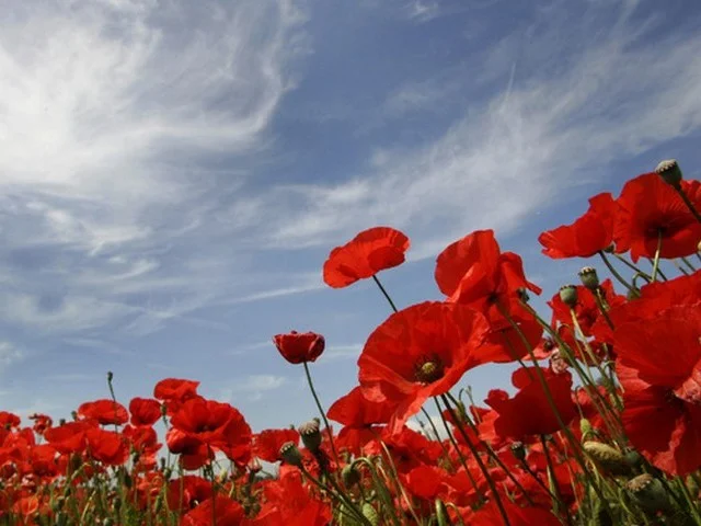 Last Post - HSBC Remembrance Service