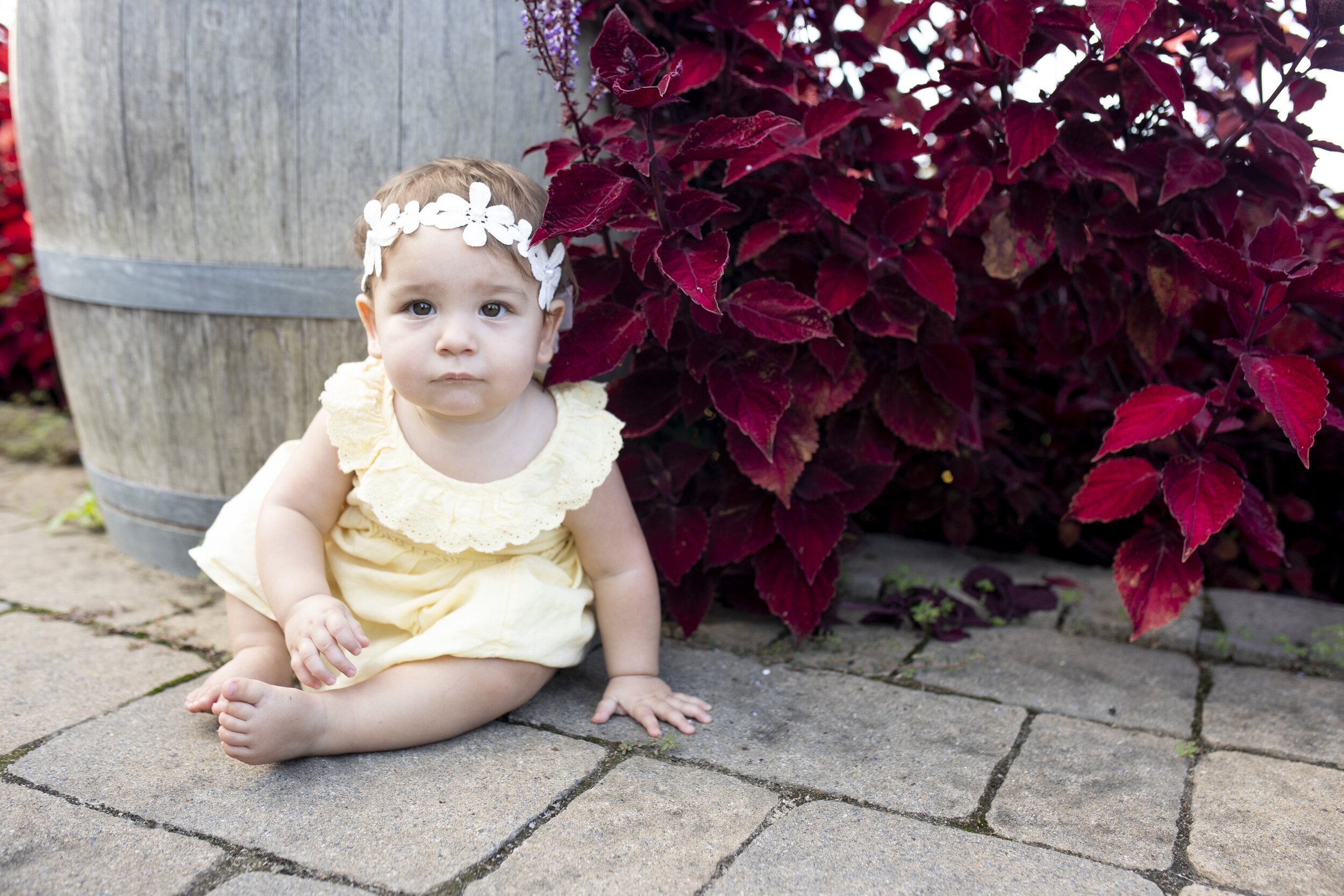  Images of Family Photo Shoot taken by Murawski Photography 