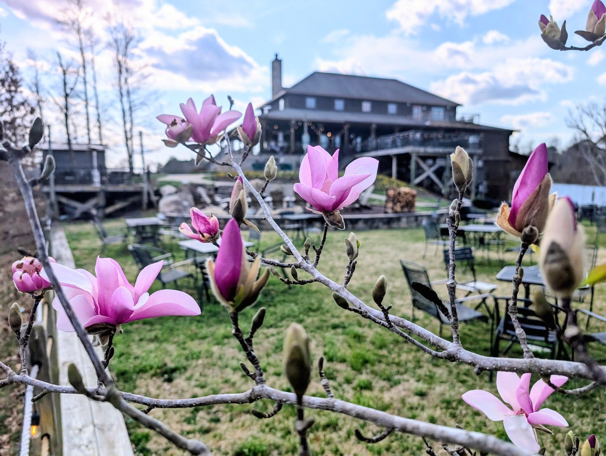 With spring just 9 days out, the magnolias are already hinting at what&rsquo;s to come. Warm breezes, bright blooms, and the perfect excuse to linger outside with a glass in hand. Come sip, savor, and stay awhile 🍷