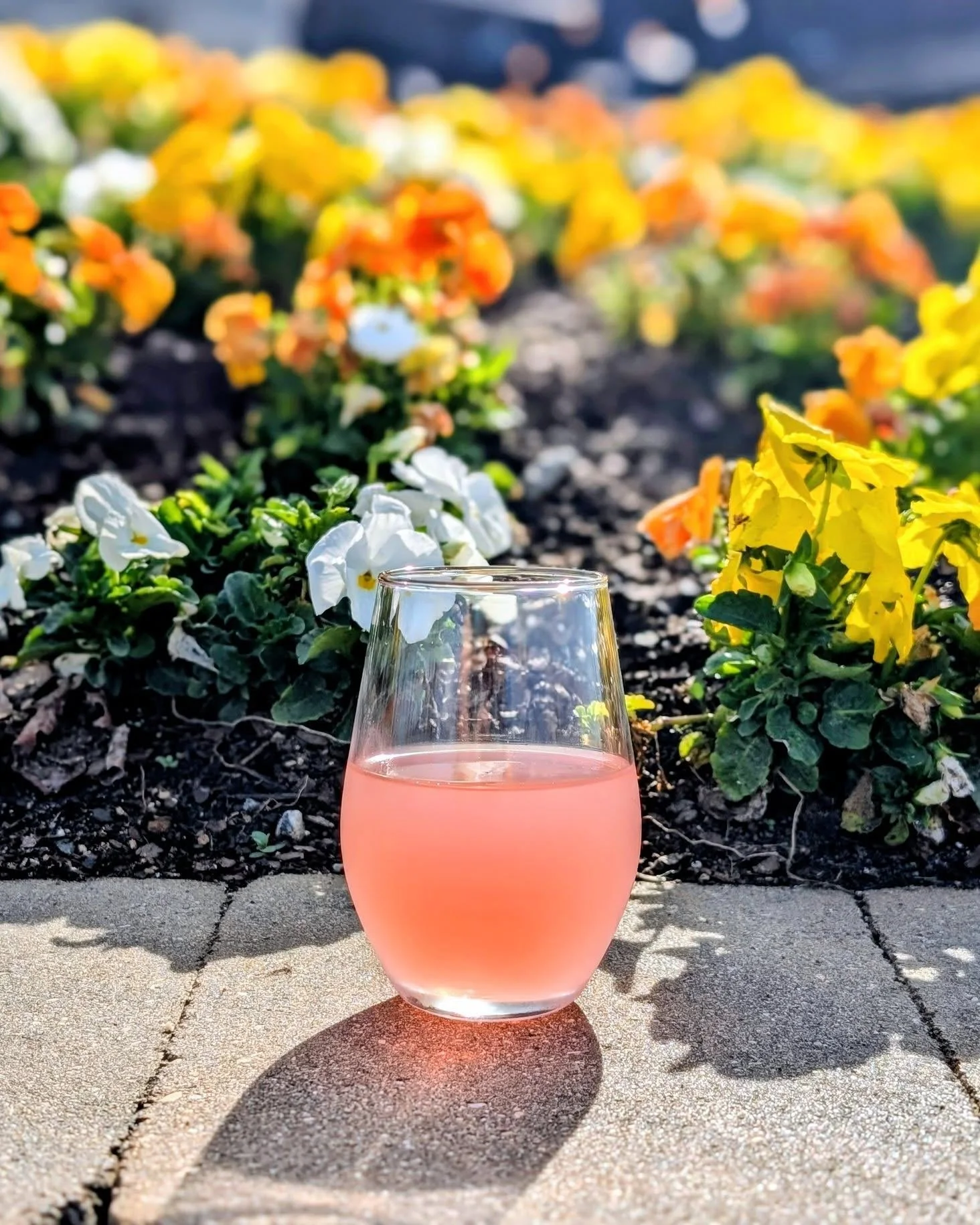 The flowers are popping and so is our Spring Sangria! 🌸 The perfect sip for the season; come enjoy one with us this weekend.

Friday, 4/3
- Winery hours 12-8:30pm
- Food truck: The Scottish Pig 4-8pm
- Music: Clayton Perry Music 5-8pm

Saturday, 4/4