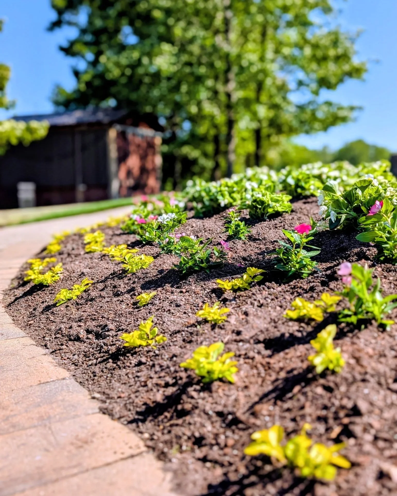 We&rsquo;ve been busy switching out our winter flowers for vibrant spring plantings, and the winery is popping with color just in time for the sunshine in the forecast.

It&rsquo;s shaping up to be a perfect weekend to visit, and we&rsquo;ve got live