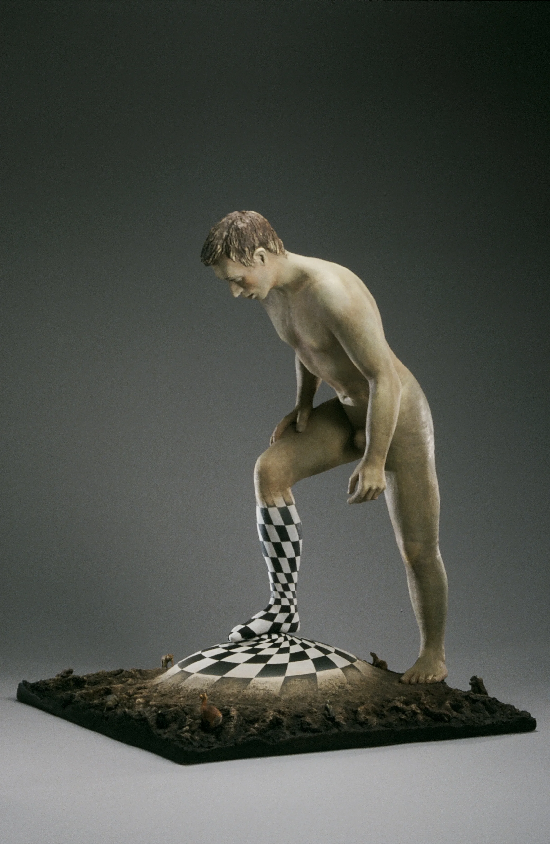 Checkered Future 2000 20"x15"x15"