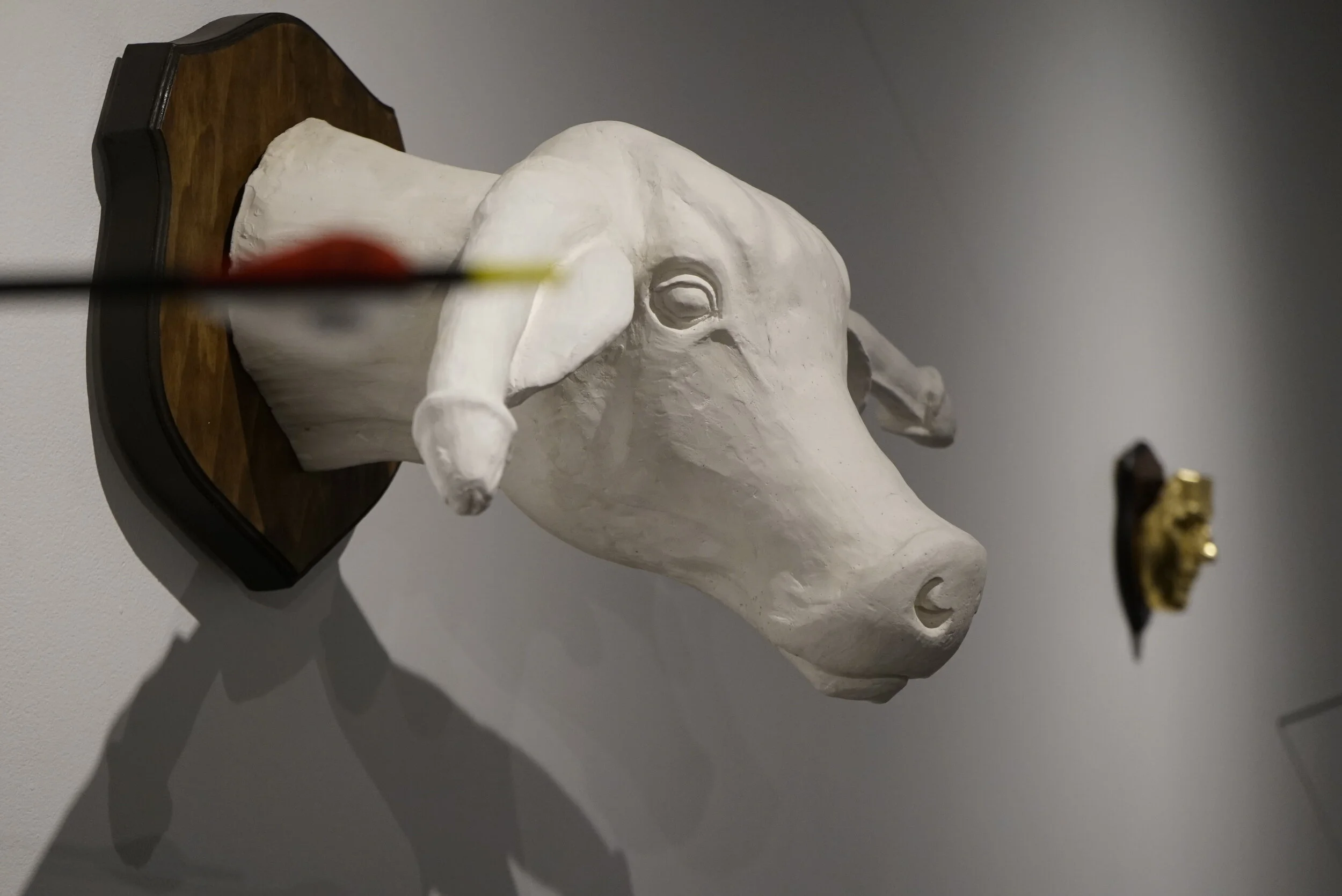 Installation view at Latitude 53