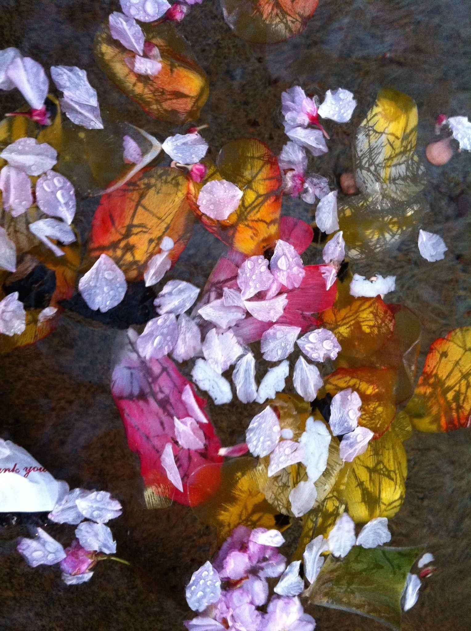 Twenty-Two Gallery Winter Group Show