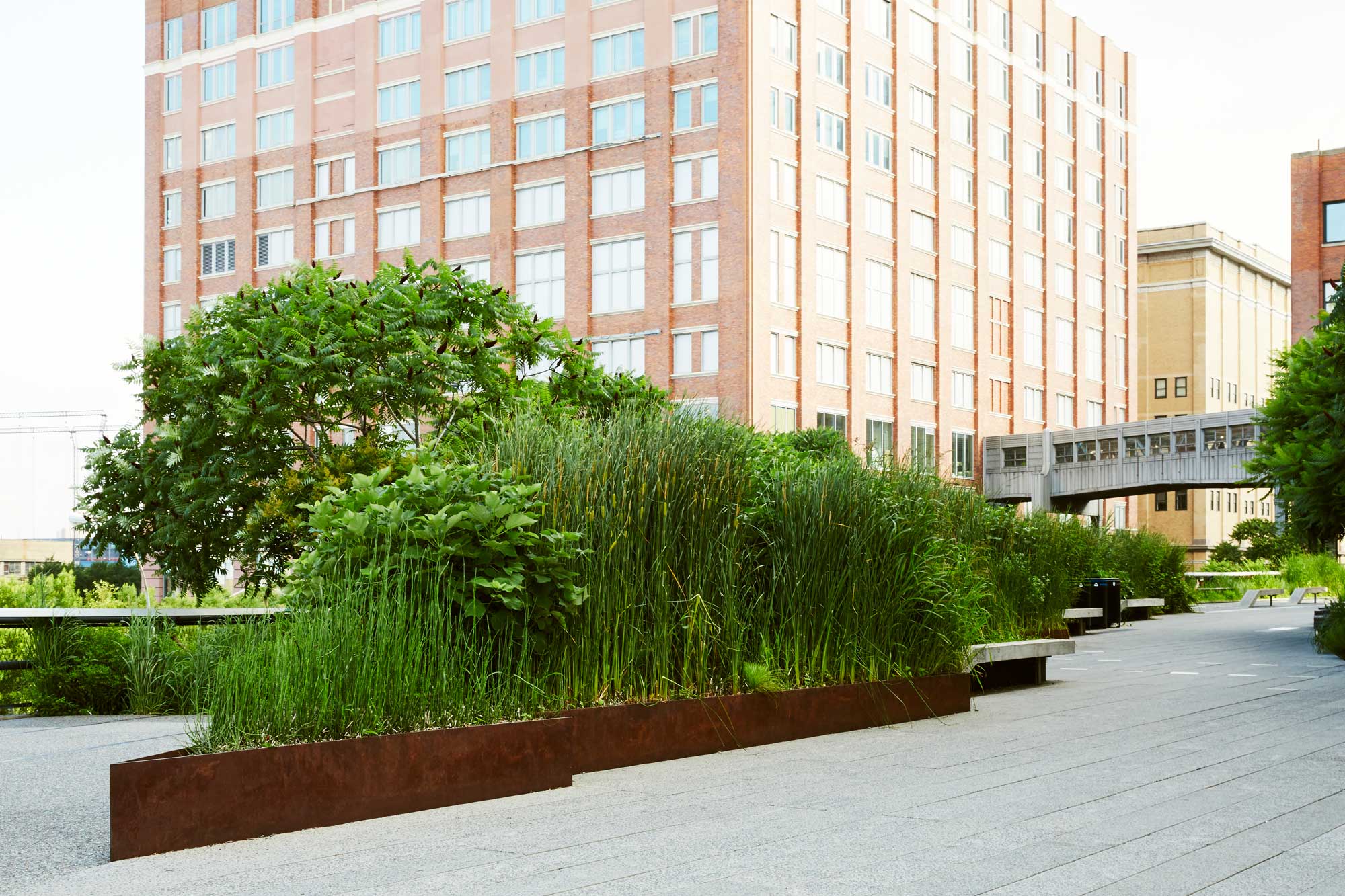Highline-2015-0707_planterworx-406_final.jpg
