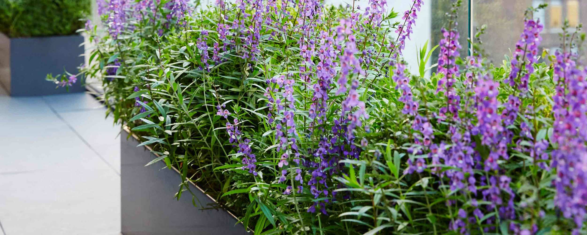 Downtown Terrace The Standard Planter Carbon Powder Coated Aluminum