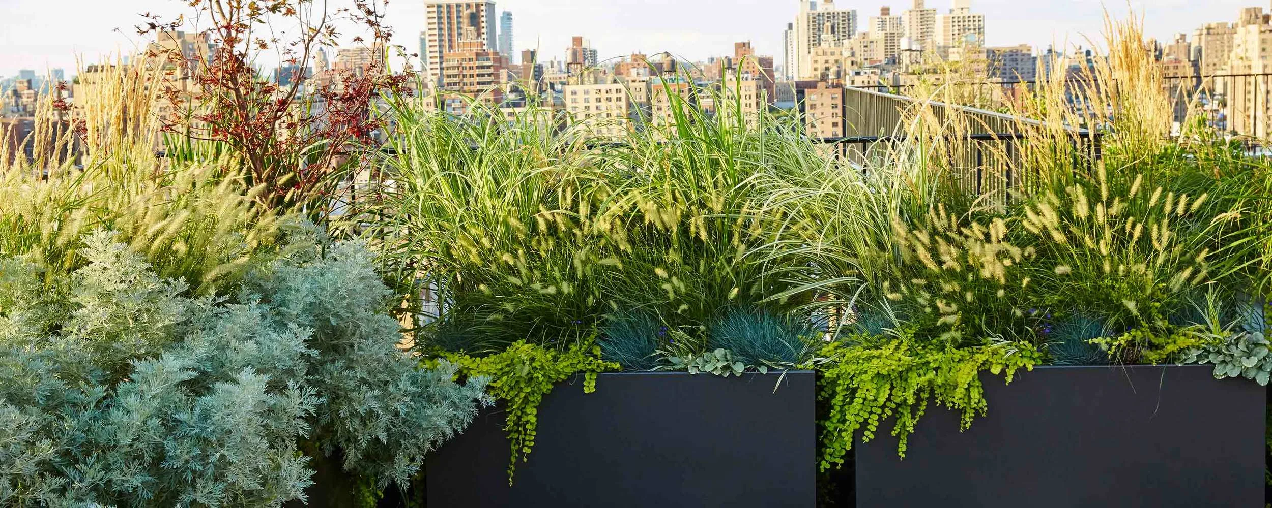 Downtown Terrace The Standard Planter Carbon Powder Coated Aluminum