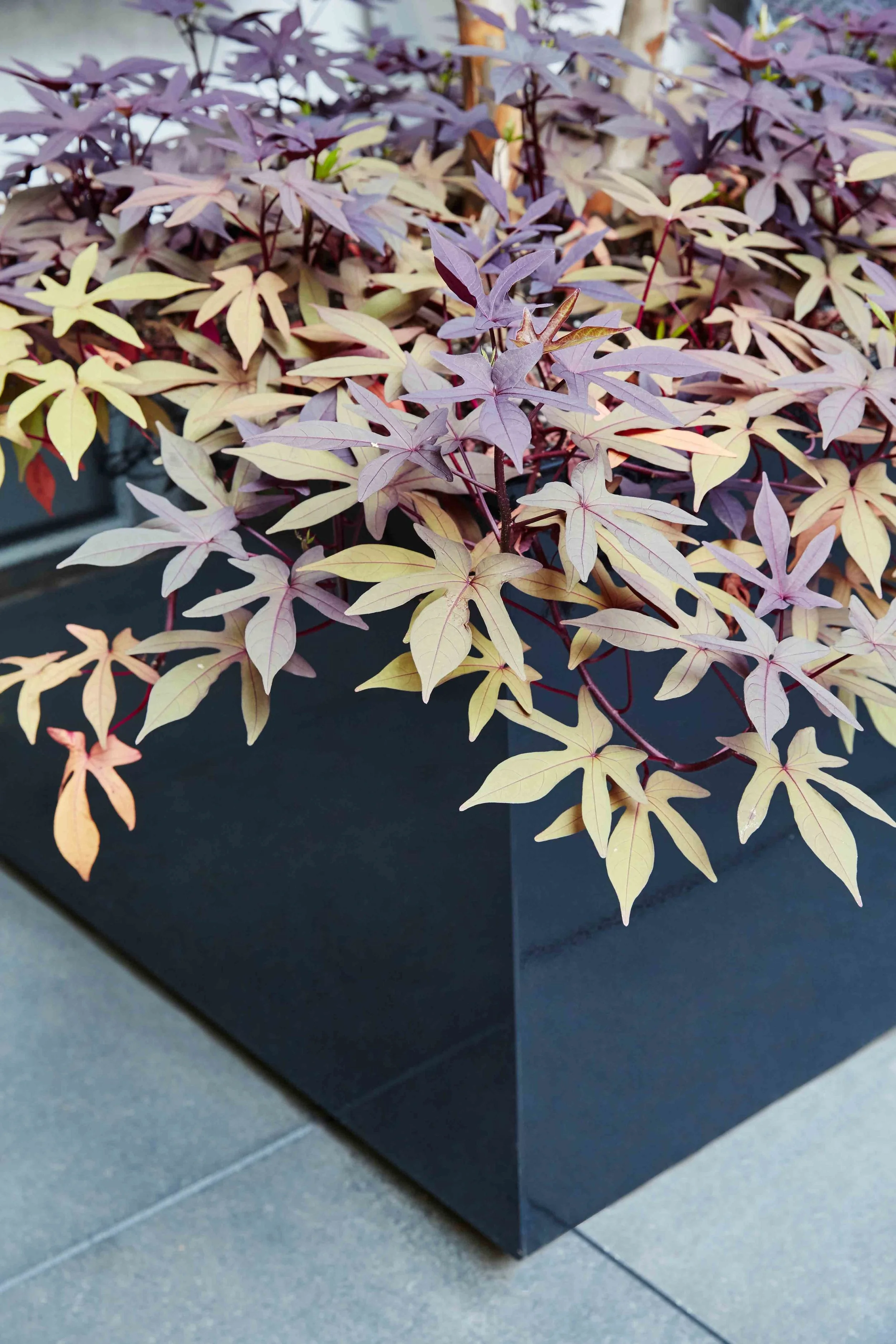 Gramercy Park Terrace Empire Planter Powder Coated Aluminum